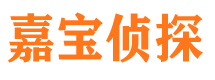 孟村市侦探公司